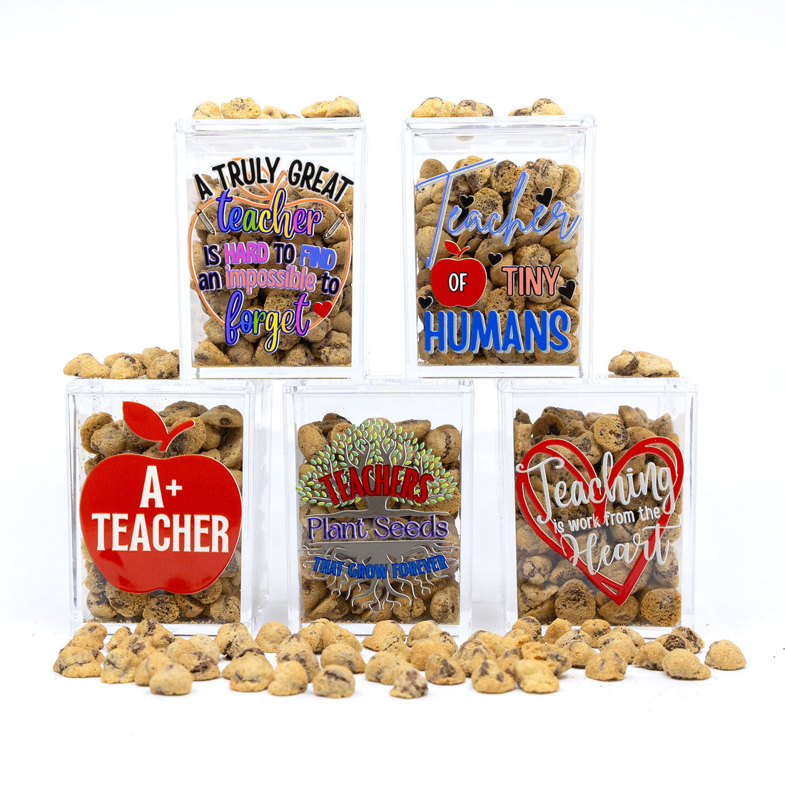 Tall Cookie Cube - Teacher Edition